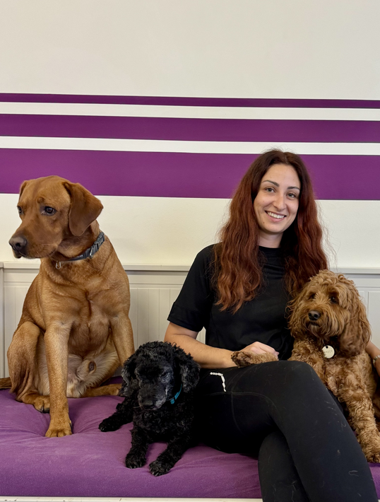 Jenny Kathriner sitzt lächelnd mit einem Rhodesian Ridgeback, einem schwarzen Pudel und einem Cockapoo in der Dog Lounge